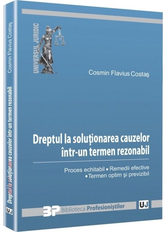 Imagine Dreptul la solutionarea cauzelor intr-un termen rezonabil