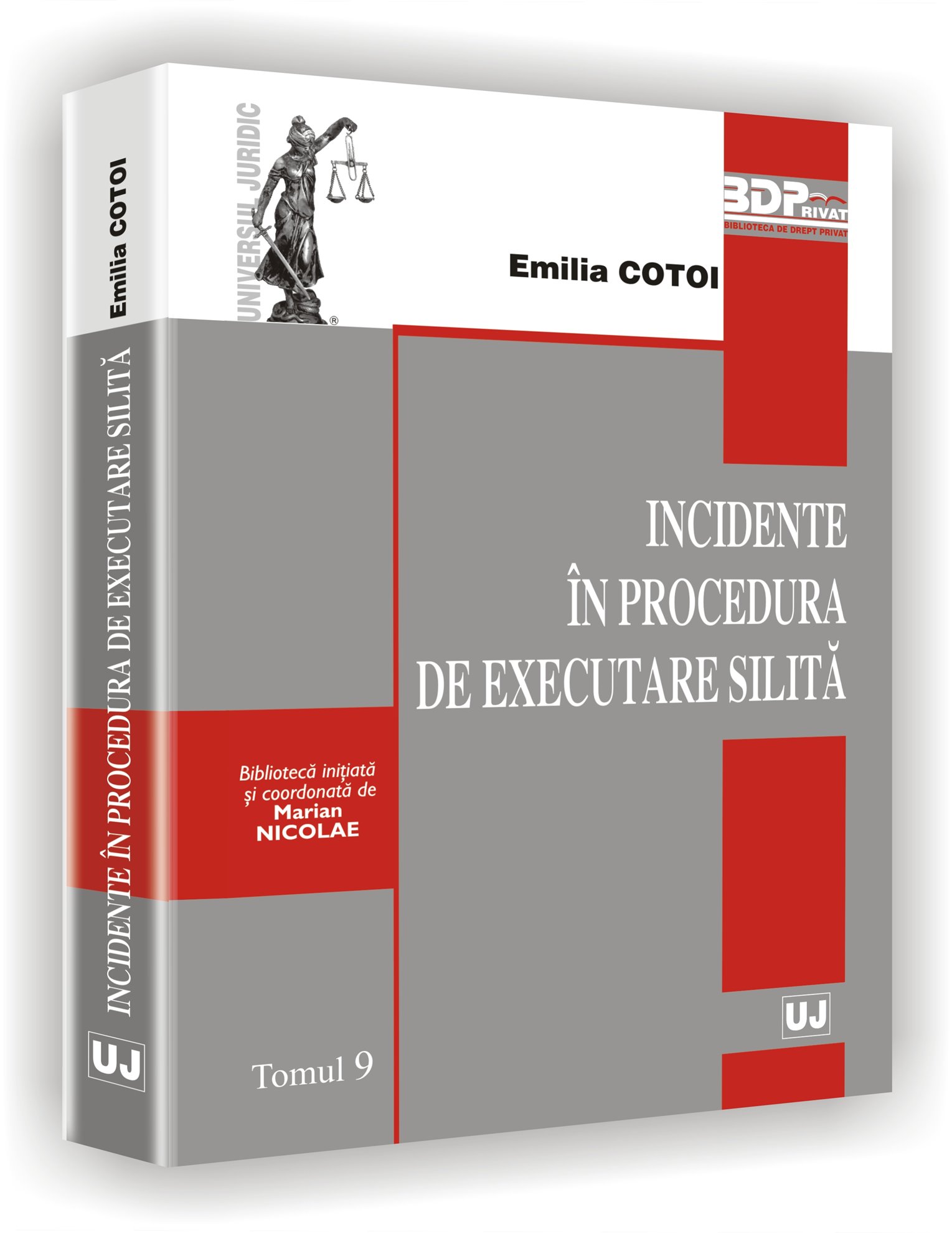 Imagine Incidente in procedura de executare silita