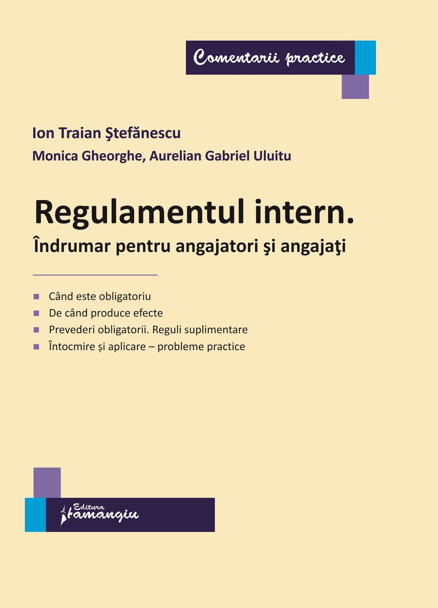 Regulamentul intern. Indrumar - Stefanescu