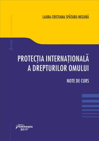 Protectia internationala a drepturilor omului - Spataru-Negura
