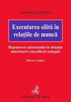 Executarea silita in relatiile de munca - Razvan Anghel