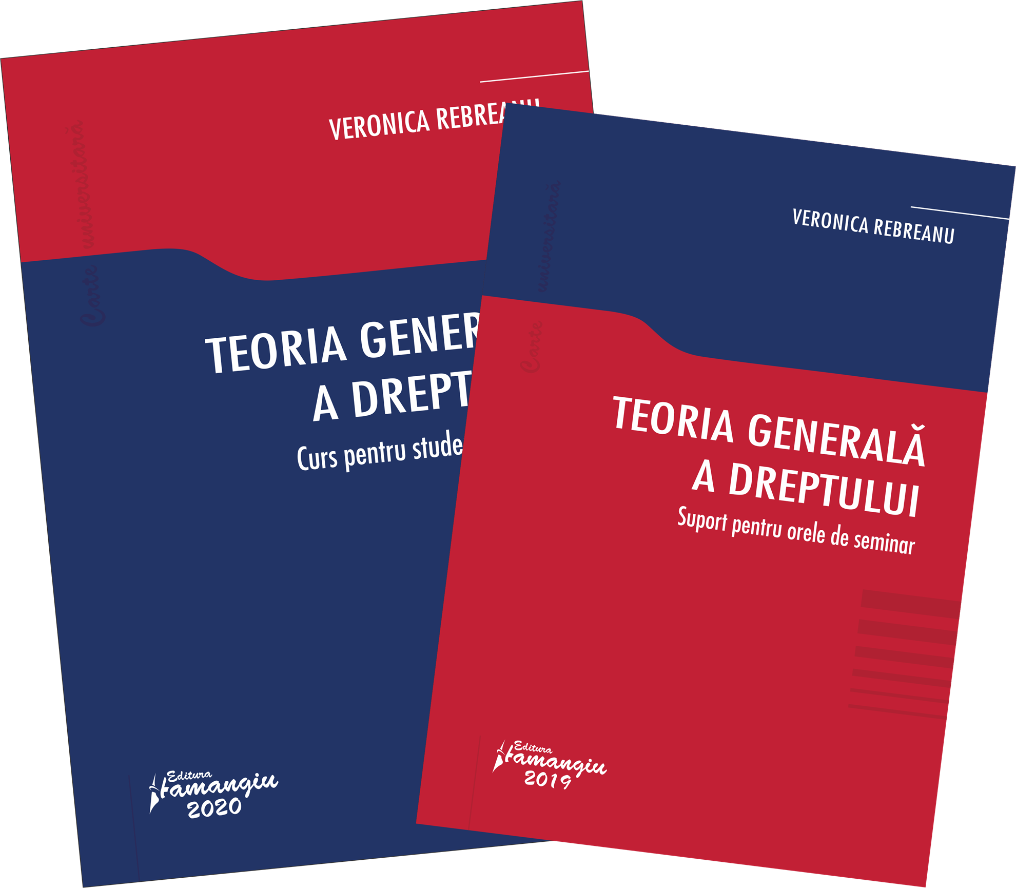 Pachet Teoria generala a dreptului - Viorica Rebreanu