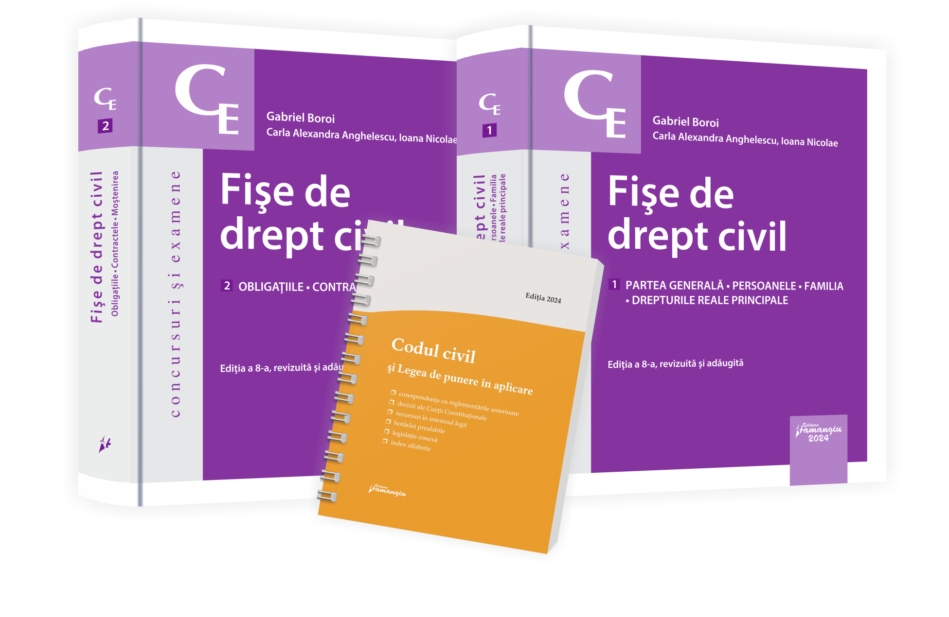 Pachet fise drept civil 2024- Gabriel Boroi;Carla Alexandra Anghelescu;Ioana Nicolae
