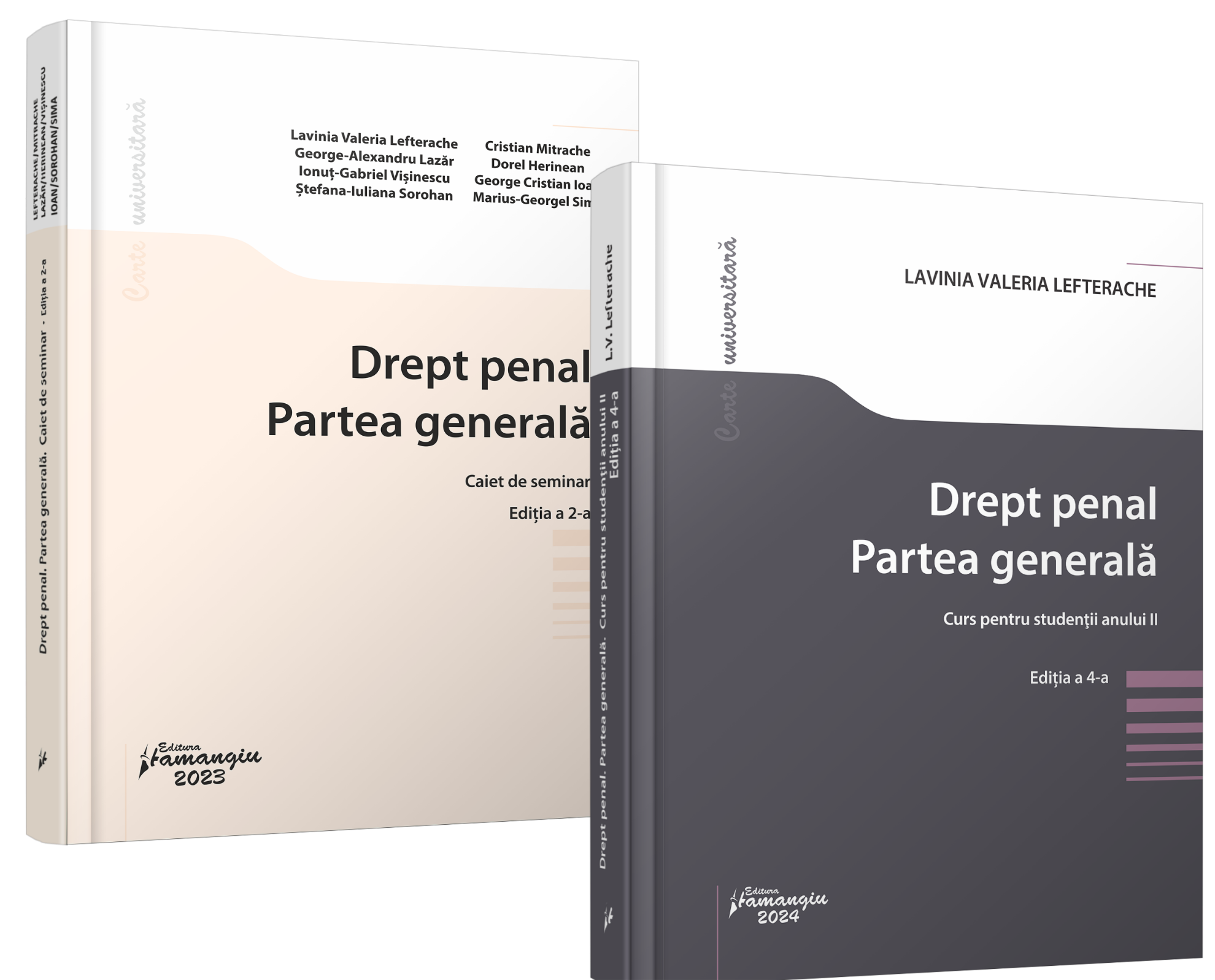 Pachet Drept penal. Partea generala- Lavinia Lefterache